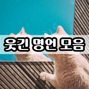 웃긴 명언 모음 웃긴 술명언 100선_27