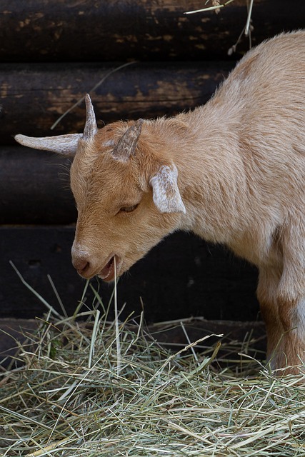 [콜키지 뜻] 콜키지프리 뜻&amp;#44; 와인콜키지 뜻&amp;#44; 페어링 뜻&amp;#44; 와인 페어링이란? 블루투스 페어링이란?