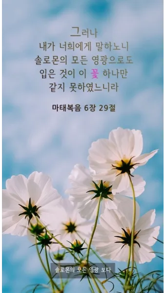 마태복음 6장 설교 영감_8