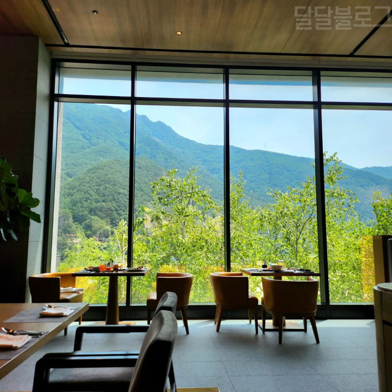 정선-파크로쉬-조식-파크키친