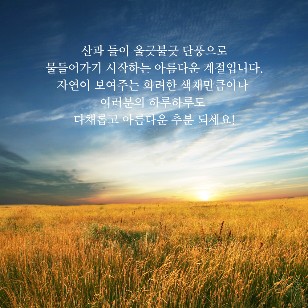 가을 인사말 추분 이미지 문구 모음집