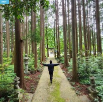부산 대마도 히타카츠 이즈하라 배편 시간표 괸련 사진