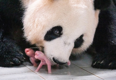 강철원 사육사 프로필 나이 고향 학력 경력