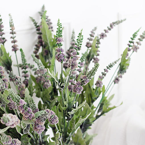 초파리없애는방법-허브-라벤더