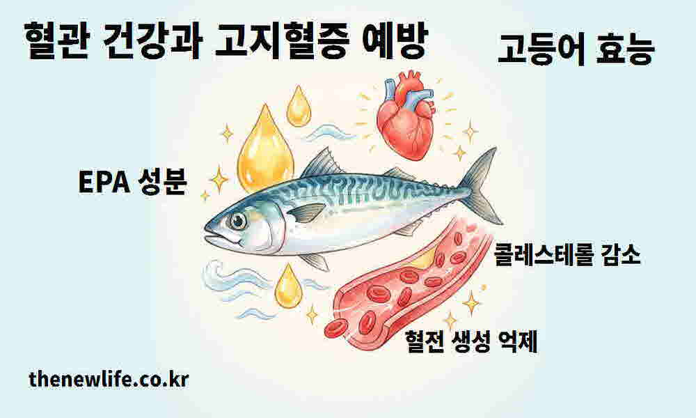 고등어 효능 혈관 건강 고지혈증 예방