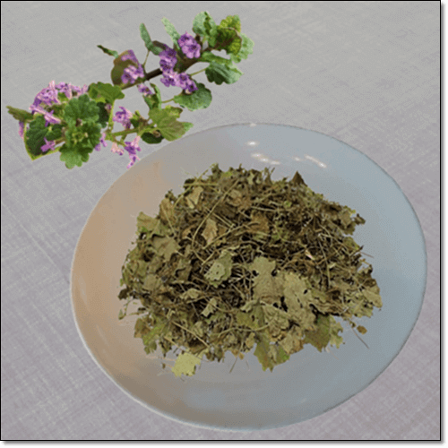 긴병꽃풀 먹는 법