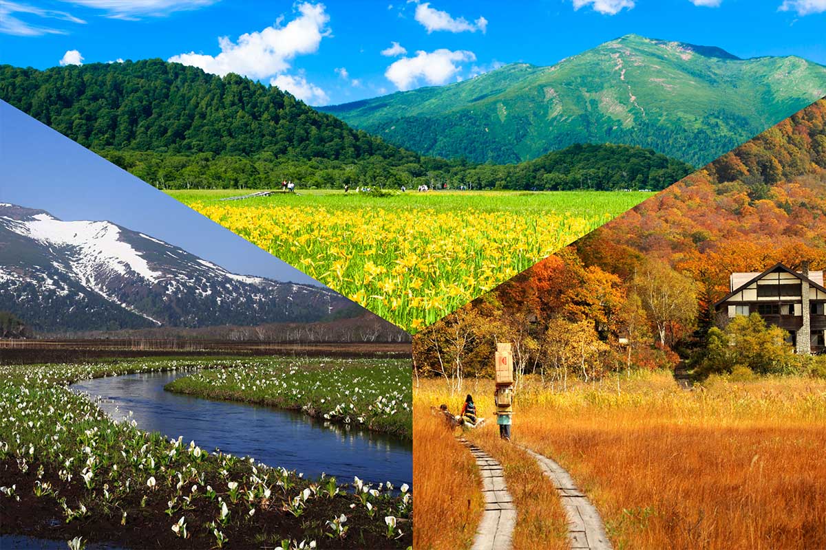 계절별 트래픽이 높은 키워드와 주제