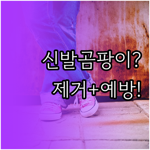 신발 곰팡이 제거부터 예방까지 완벽 ..