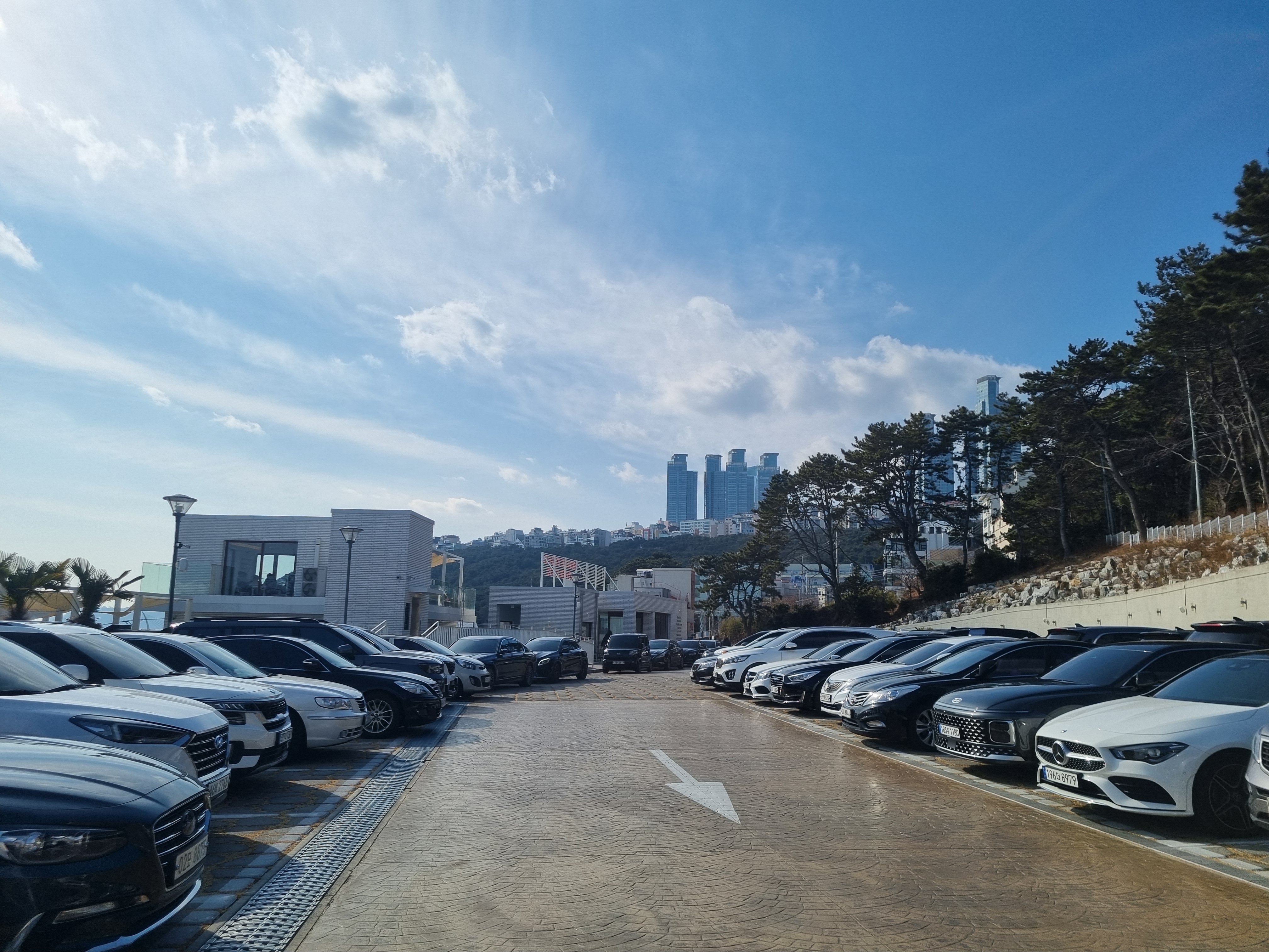 루아앤티그리