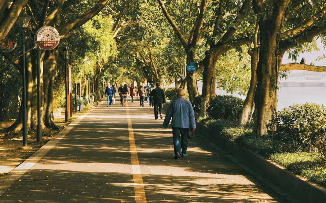 걷기 운동의 칼로리 소모, 효과, 올바르게 걷는 방법