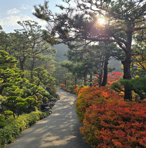 화담숲 홈페이지 참조