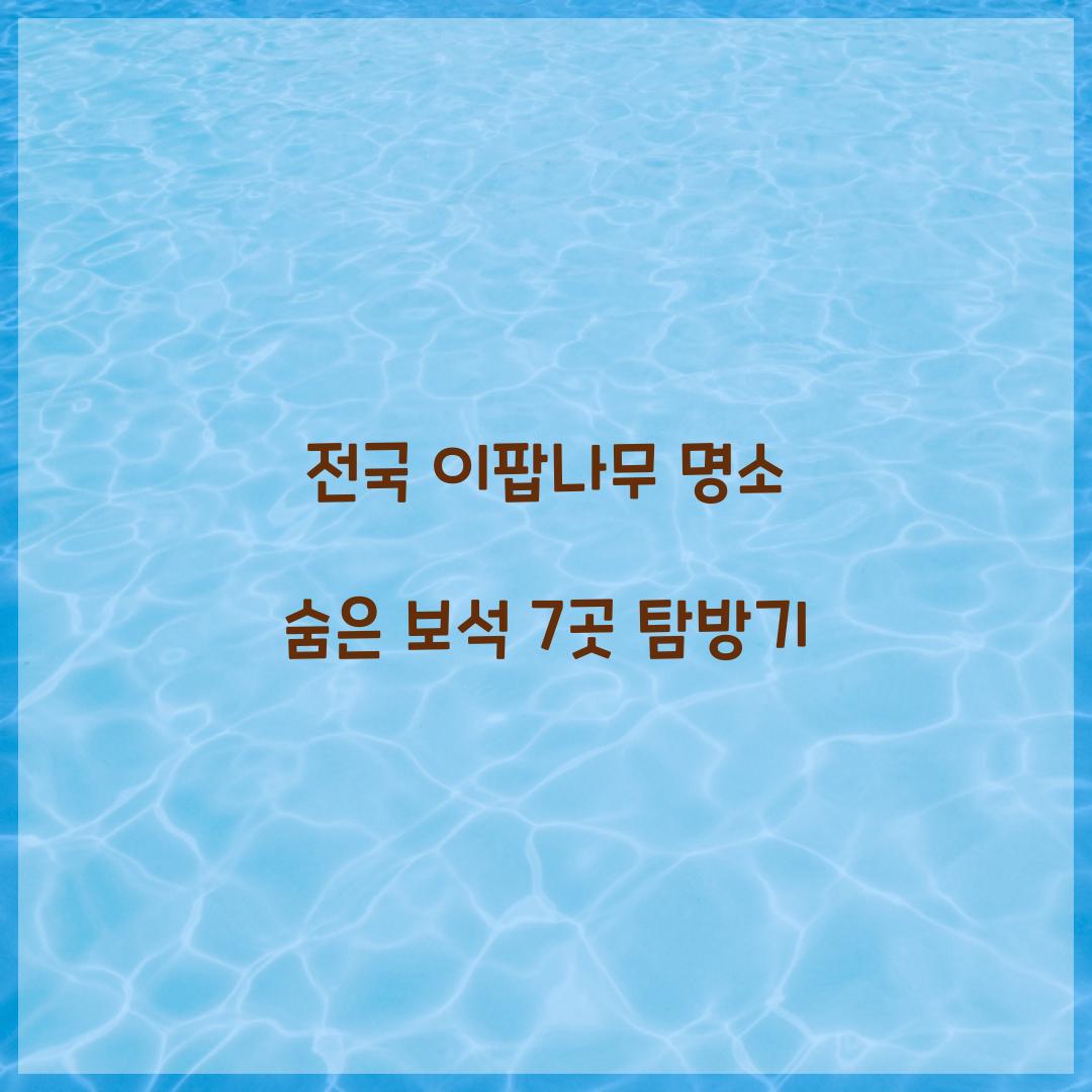 전국 이팝나무 명소