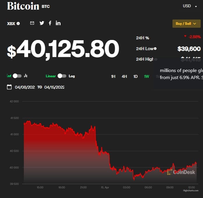 정말? 비트코인 지금 안 사면 후회한다고