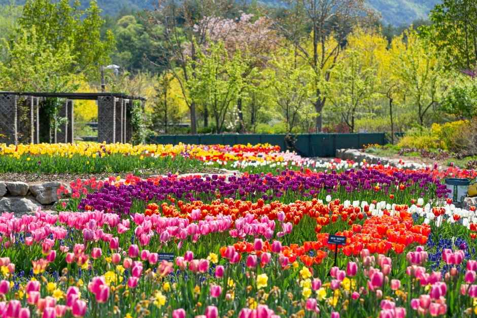 국립백두대간수목원