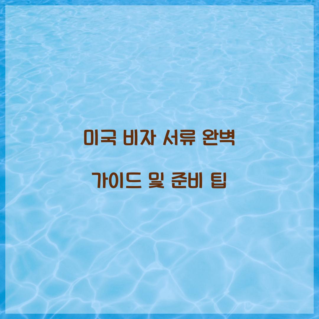 미국 비자 서류