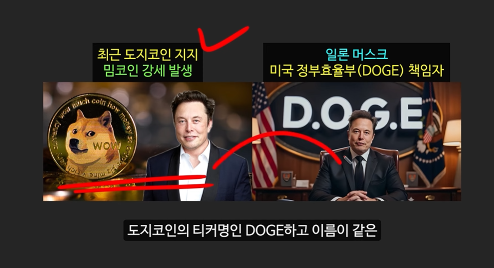 일론 머스크의 충격 발언과 도지코인, 플로키코인, 위프코인, 피넛코인, 프레드 코인의 강력한 상승 가능성 분석