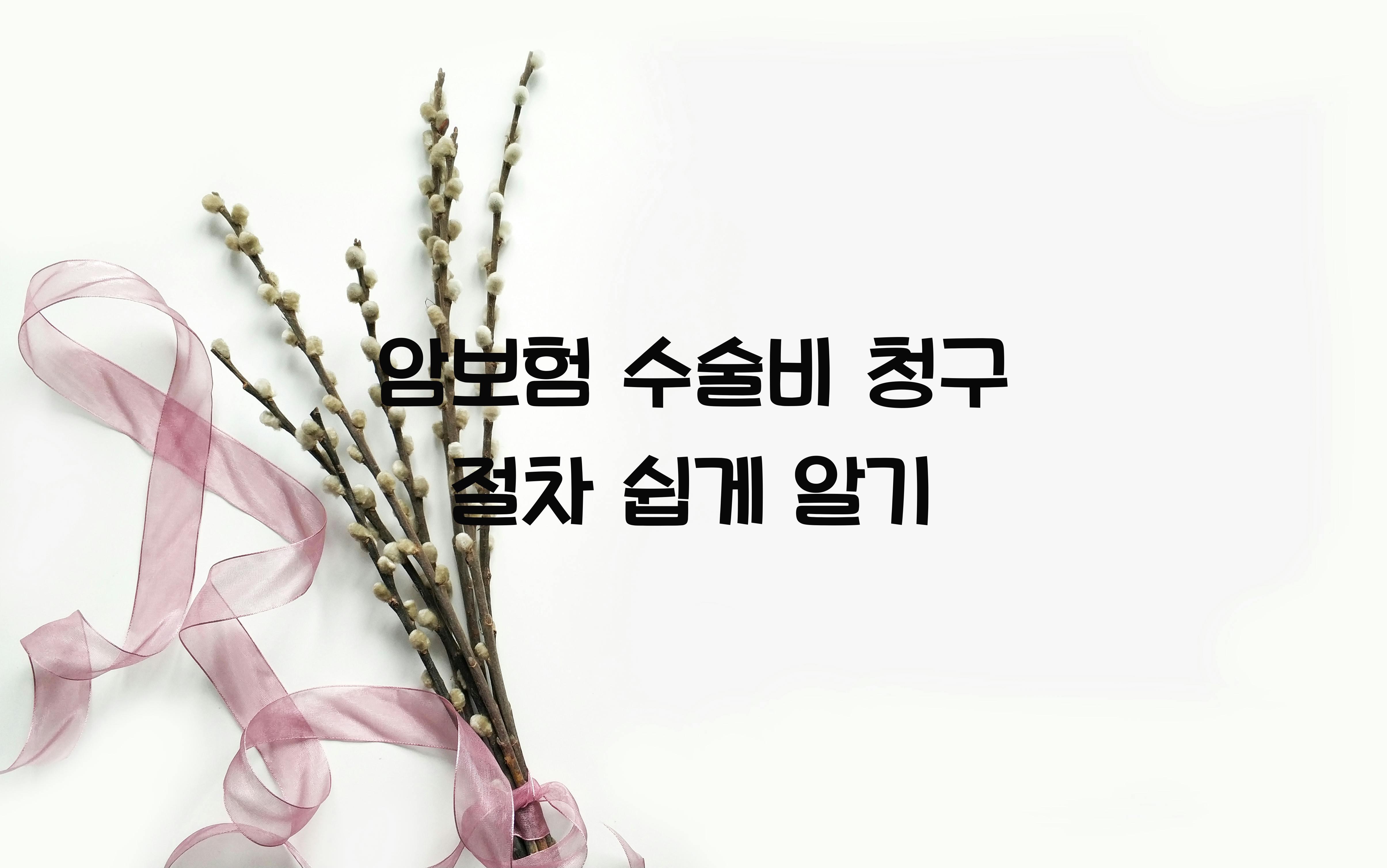 암보험 수술비 청구 절차