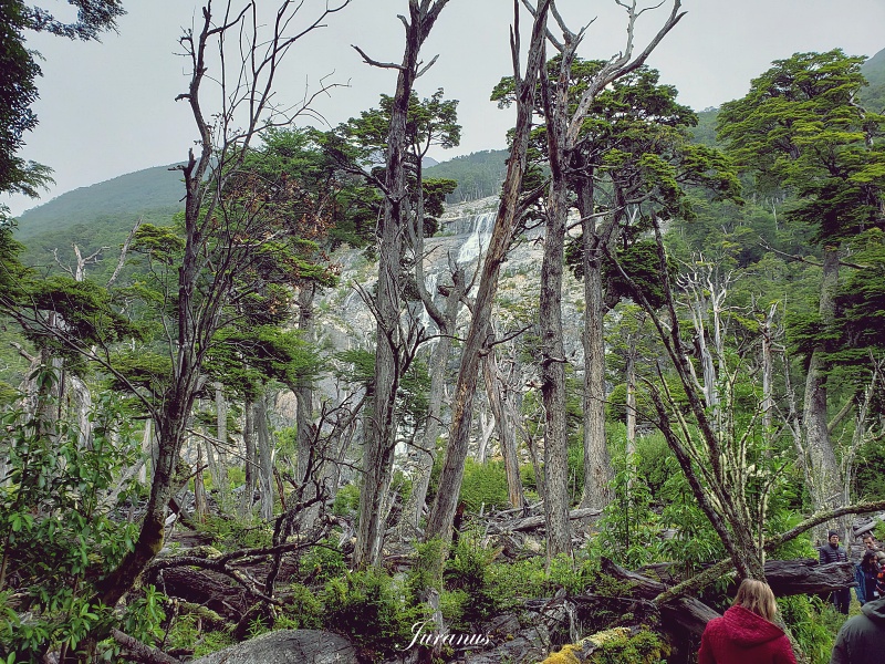 Mayo Spirit Trek 05