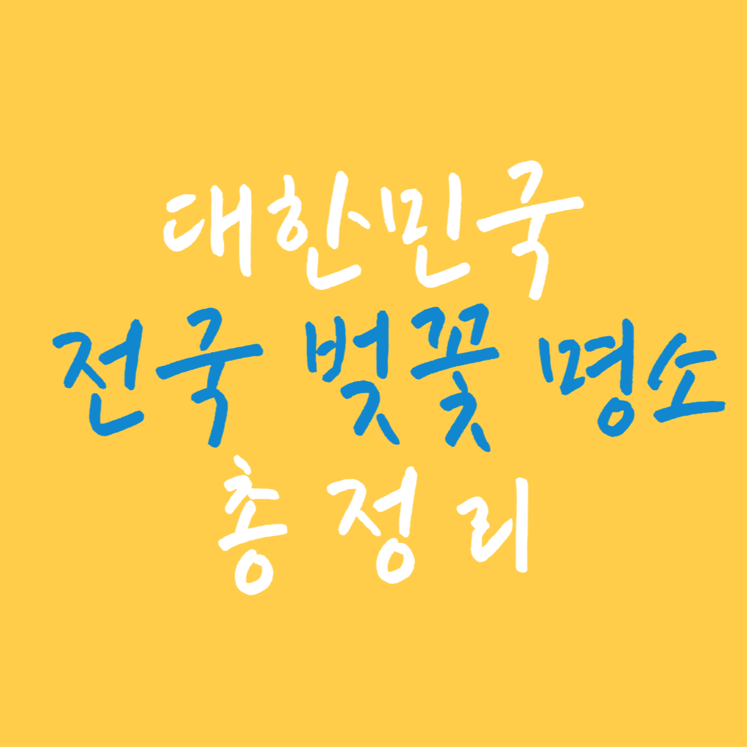 전국 명소 전국 벚꽃 명소 전국 단풍 명소 전국 사진촬영 명소 전국 매화 명소 전국 트레킹 명소 전국 5대억새 명소 전국 계곡명소 10곳 전국 유채꽃 명소 전국 수국 명소 전국 크리스마스 명소 전국 해돋이 명소 전국 관광명소 전국 억새 명소 전국 3대명소