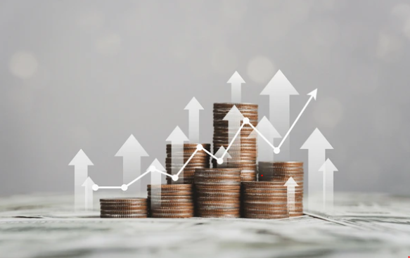 이중통화 경제: 자국 화폐와 외화의 가치 충돌 (예: 아르헨티나, 터키)