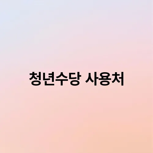청년수당 사용처