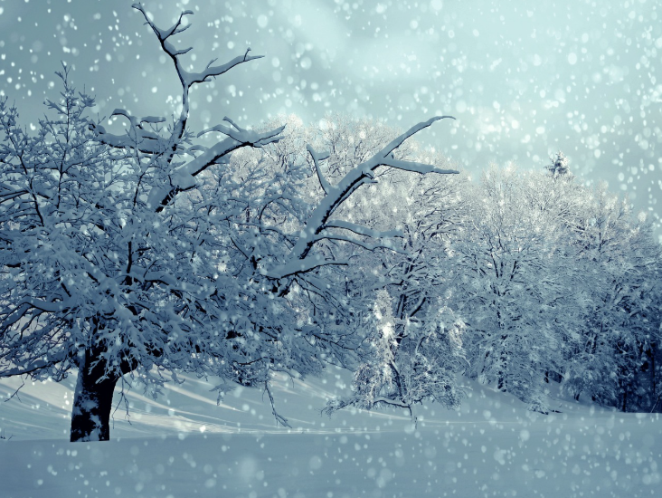 겨울철 자동차 관리