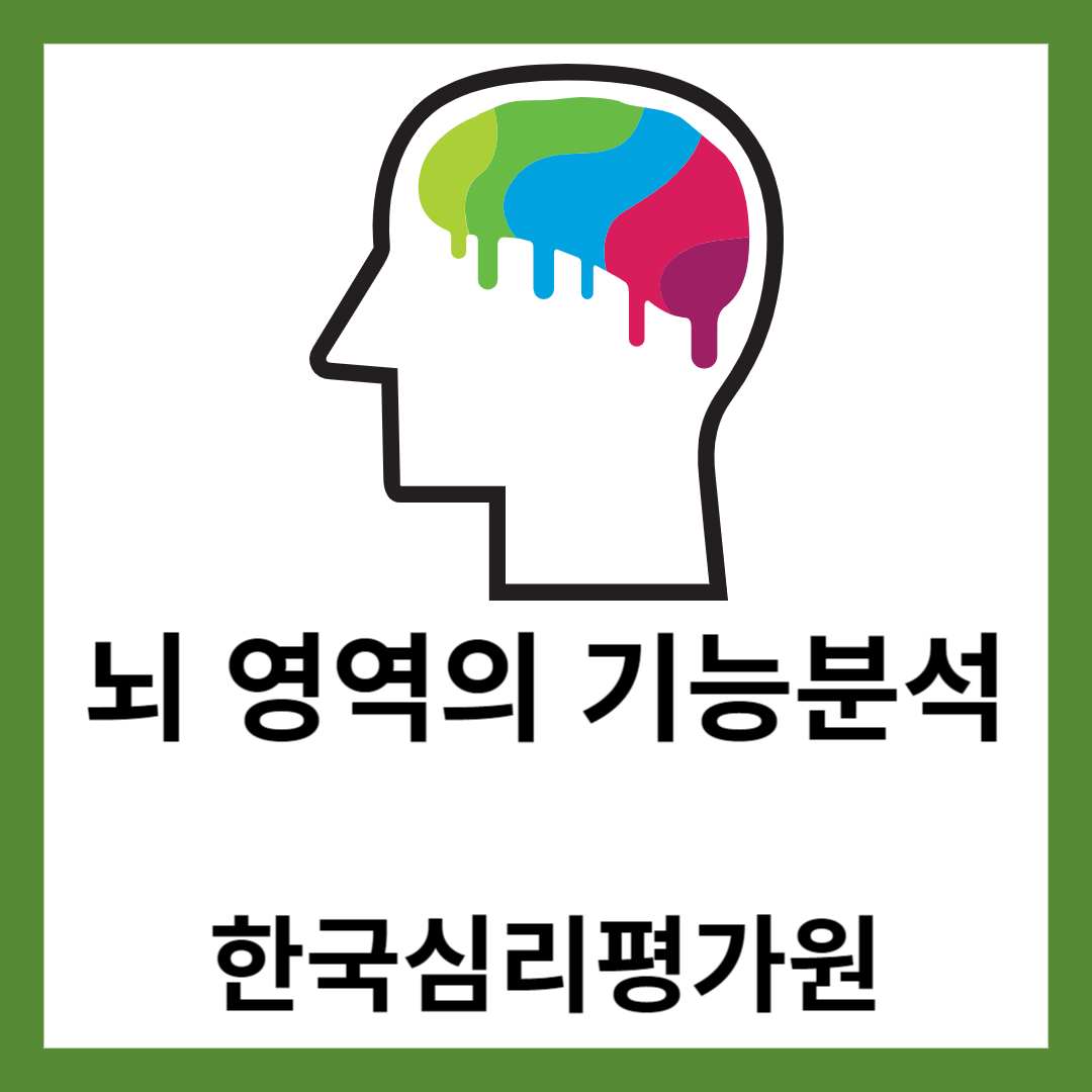 뇌 영역의 기능 분석