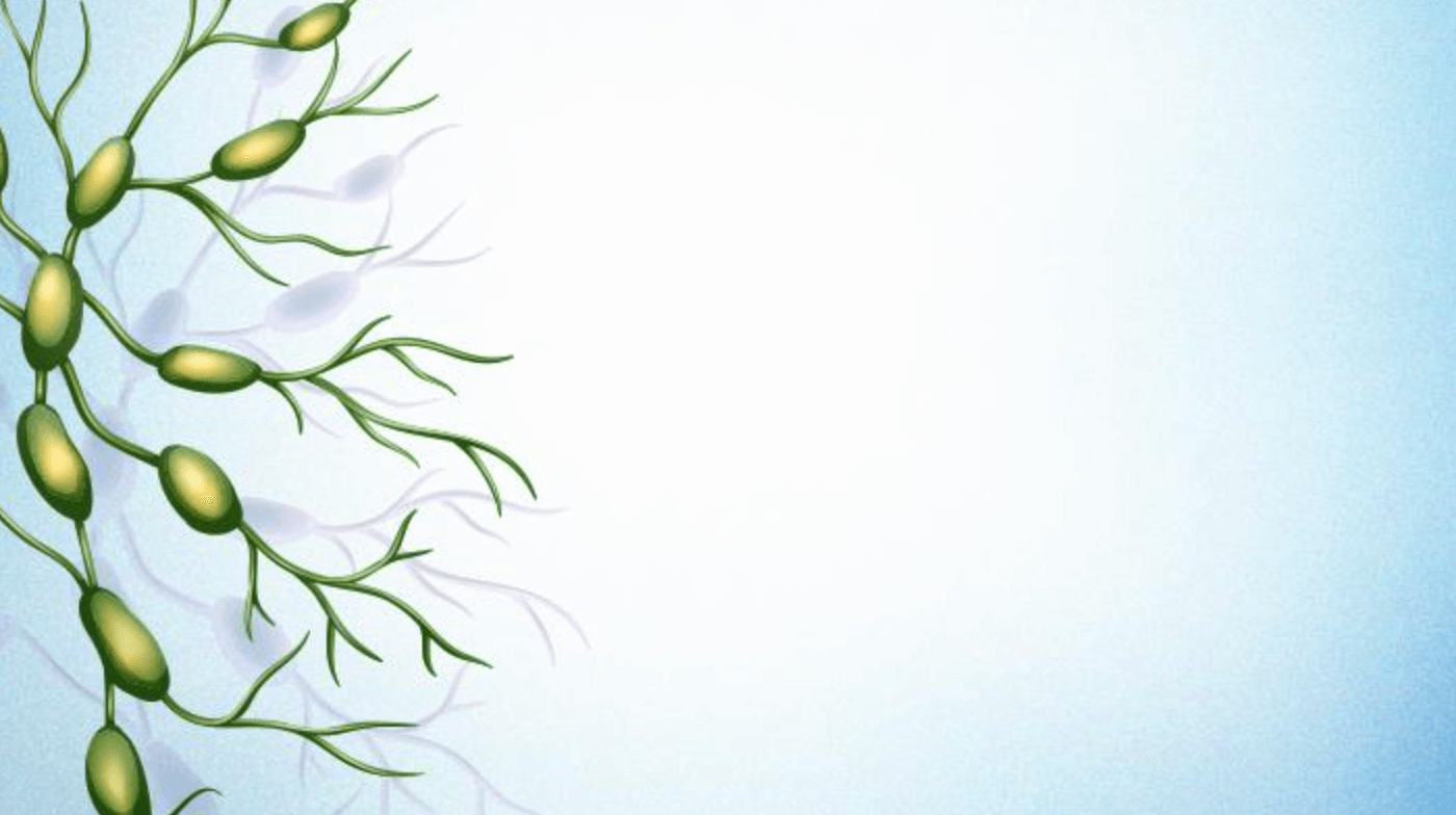 왼쪽 겨드랑이 아래 통증