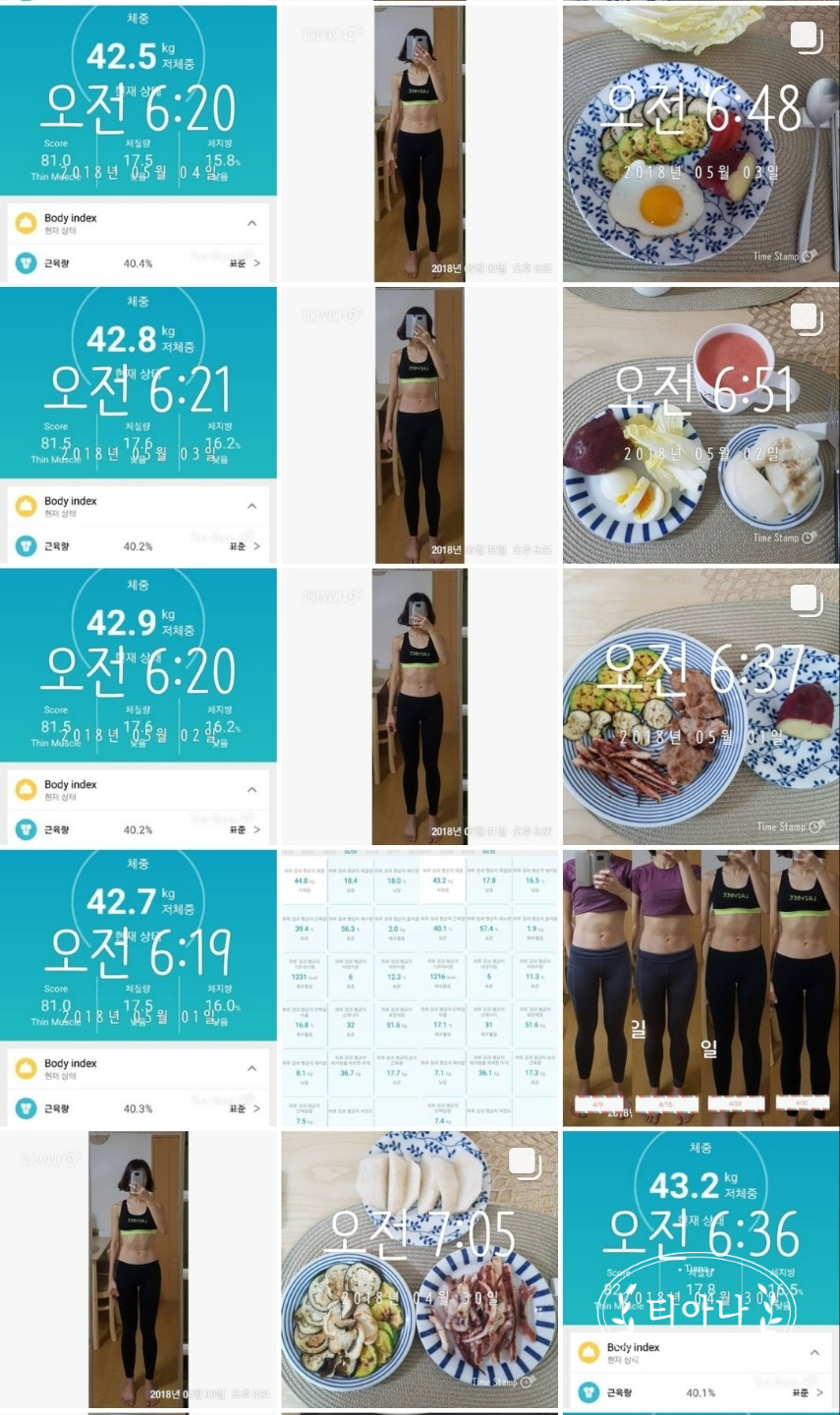 닭가슴살&amp;#44; 고구마&amp;#44; 샐러드 다이어트 식단 실패할 수 밖에 없는 이유