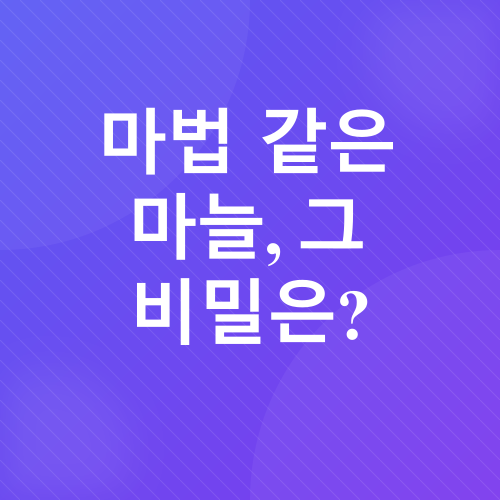 고혈압 관리_2