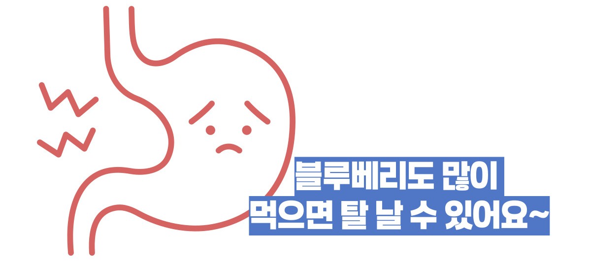 블루베리 효능 부작용