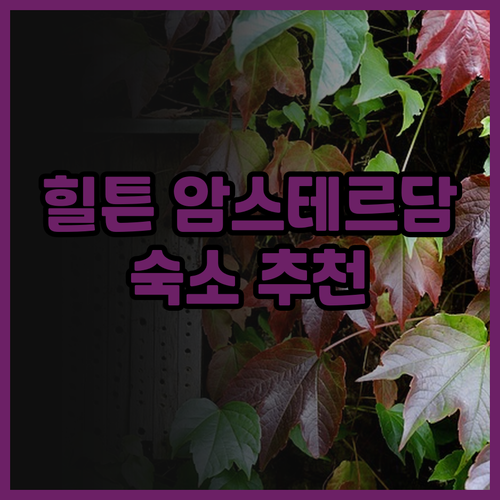 힐튼 암스테르담 호텔 후기 박물관 근..