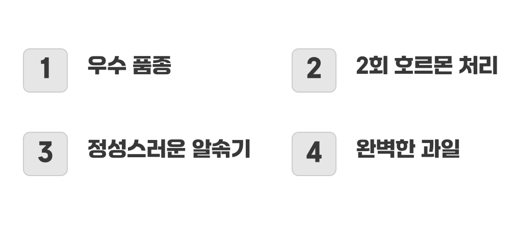 우리가 먹는 샤인머스켓 한 송이의 가치