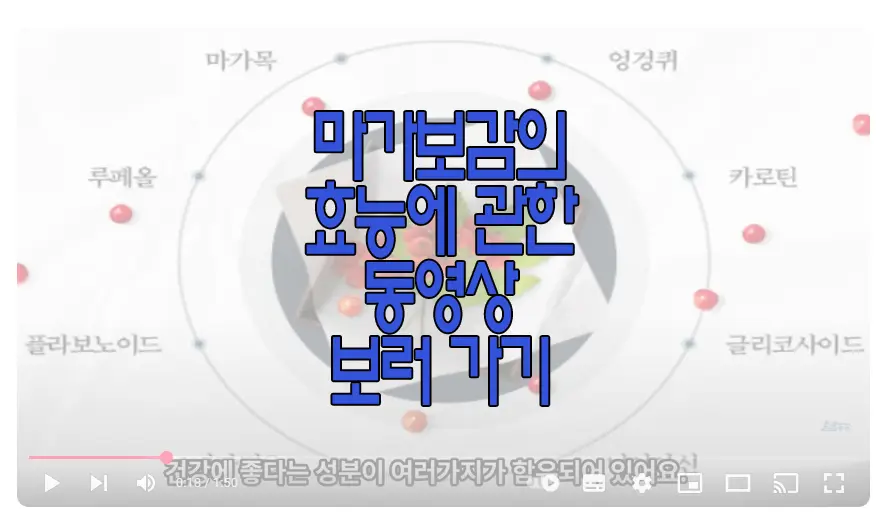 마가보감 효과에 관한 동영상 보러 가기 링크 사진