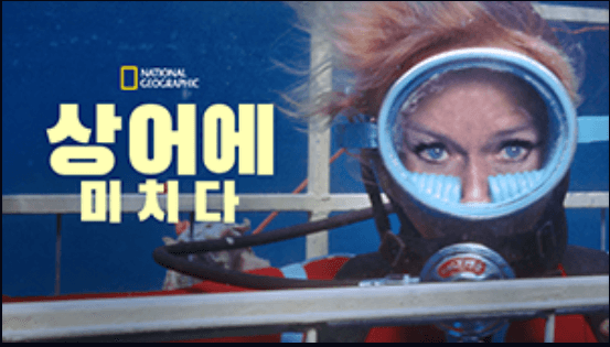 디즈니 플러스 무료다운로드