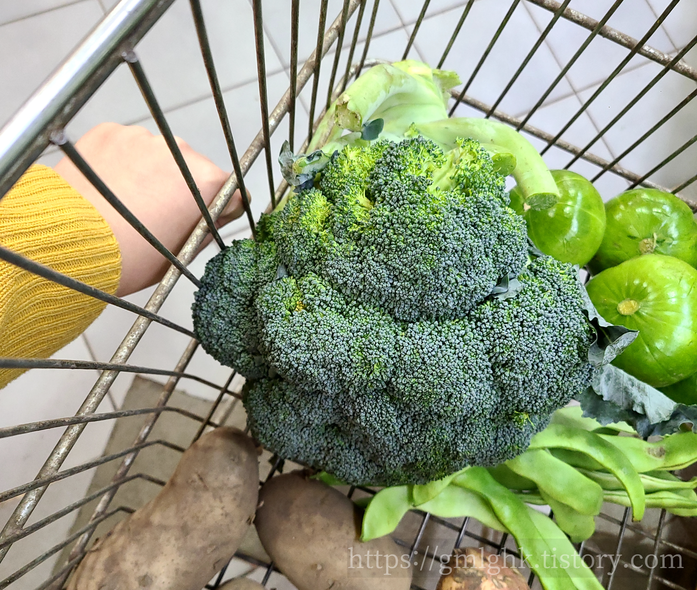 아르헨티나 농산물