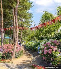 제3회 유구색동 수국정원 꽃축제 기본일정과 프로그램 정리