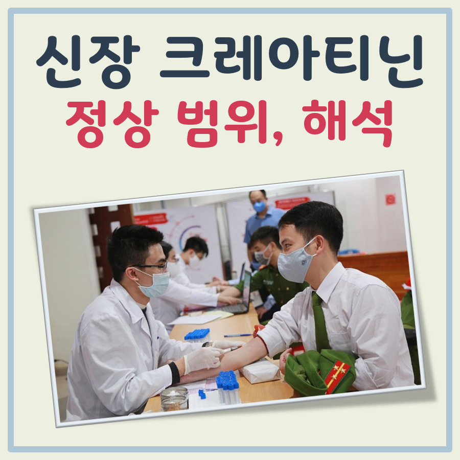 신장 크레아티닌 수치 정상범위 그리고 높으면, 낮으면 어떤 의미일까 대표 이미지