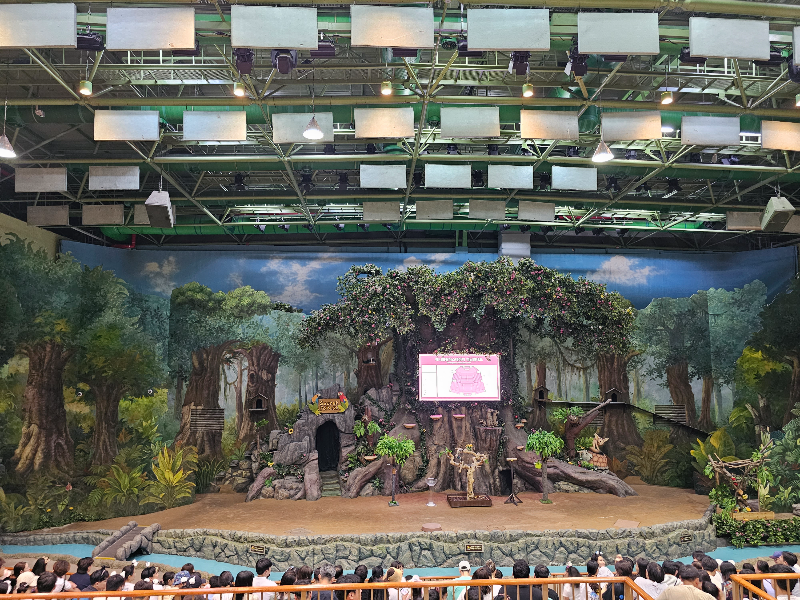 애니멀원더스테이지