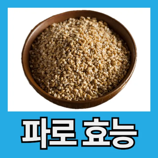 파로 효능