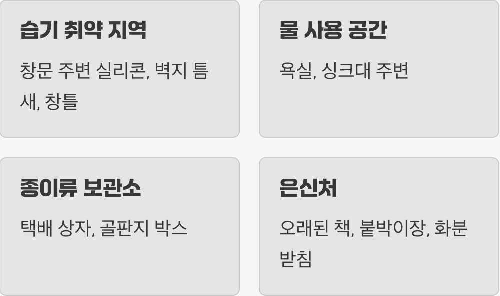 우리 집 숨겨진 서식지 찾기