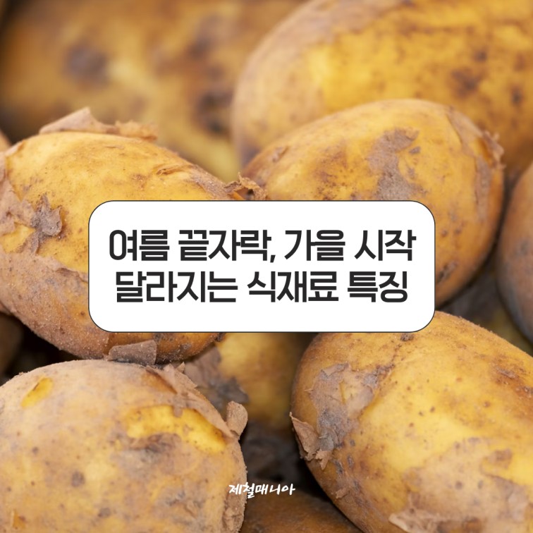 제철식재료