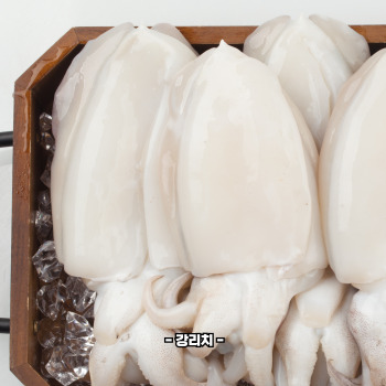 갑오징어 데치는법