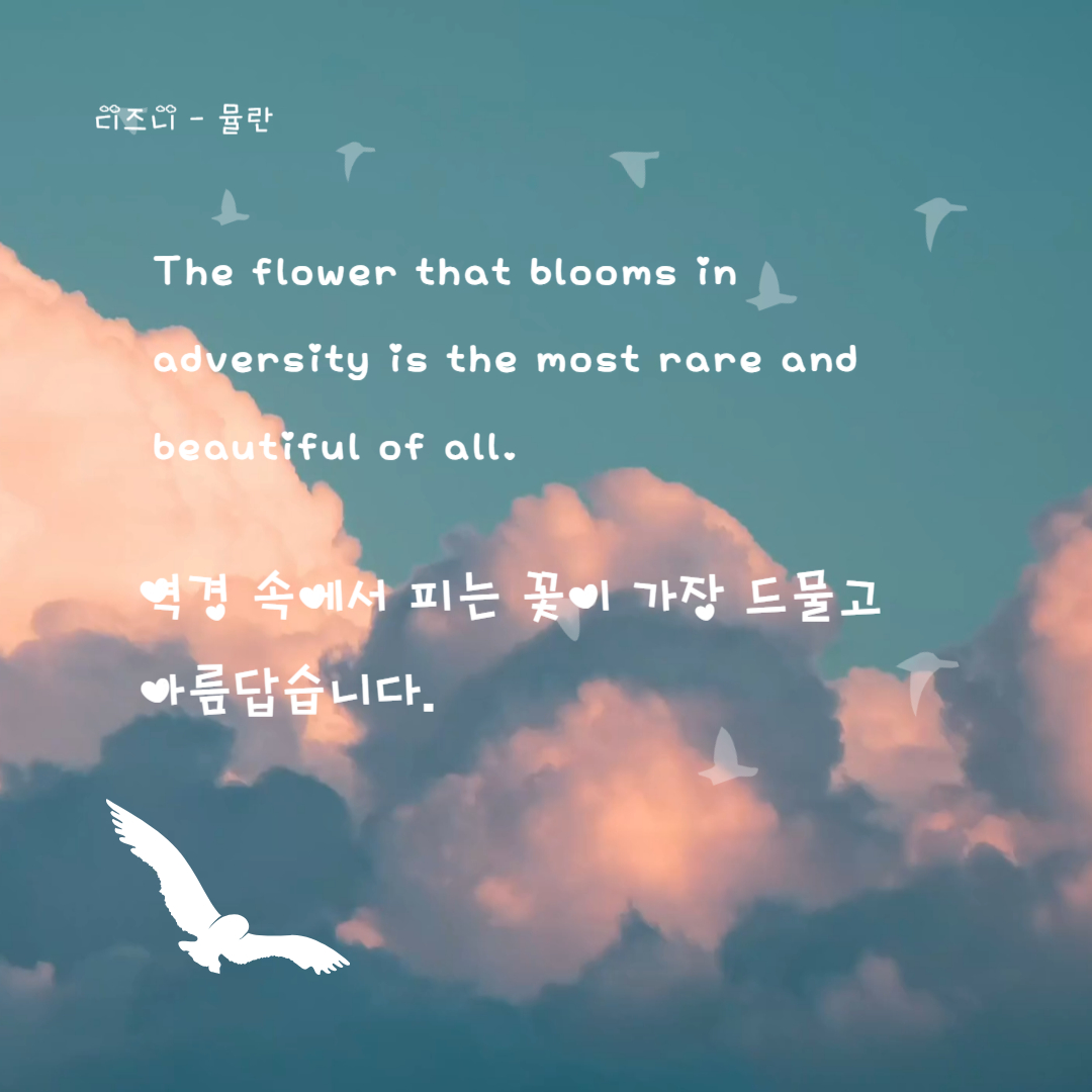 하루 명언. 디즈니 명언. 뮬란
역경 속에서 피는 꽃이 가장 드물고 아름답습니다.