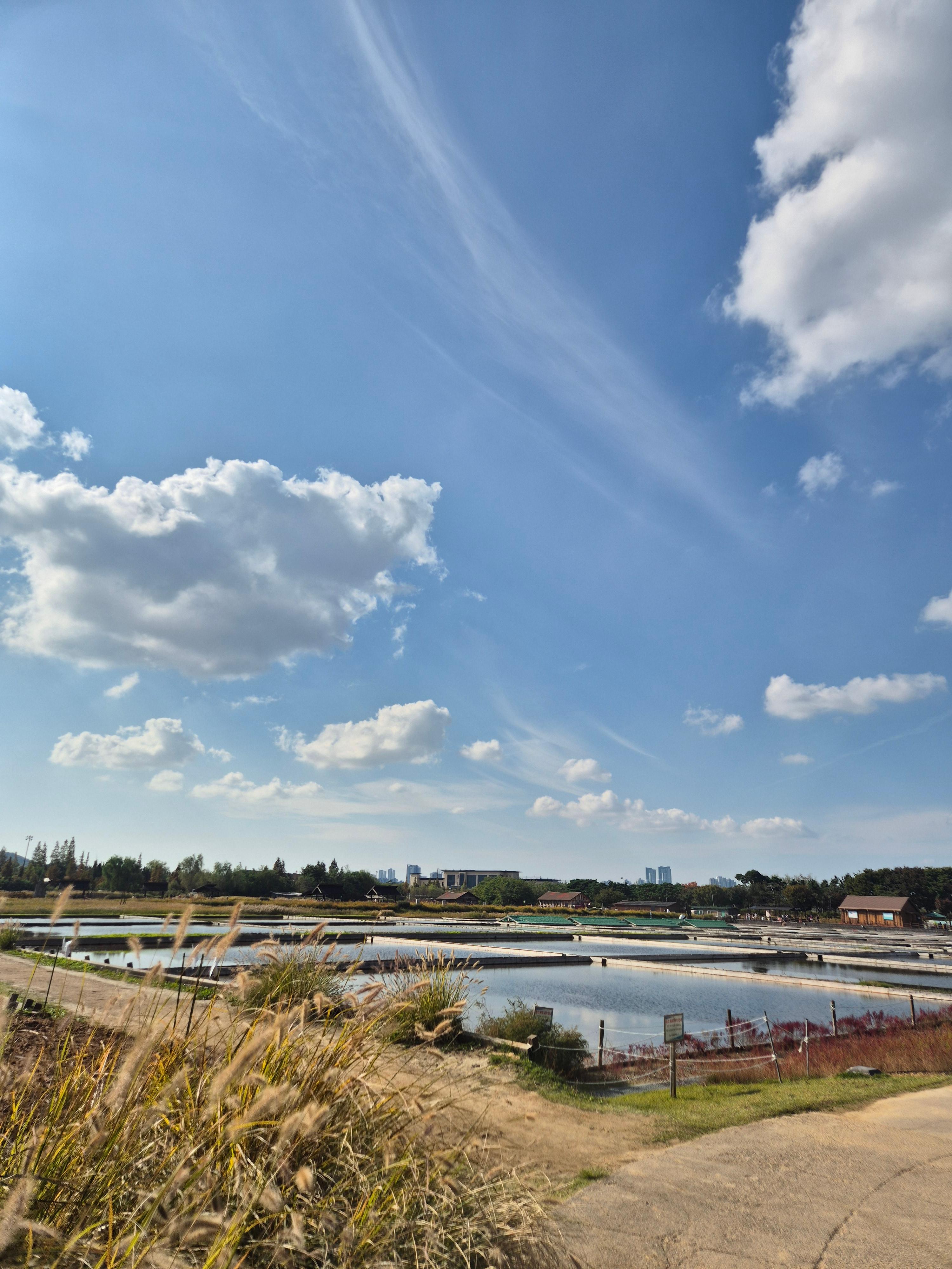 시흥 갯골생태공원 가을 나들이 후기-1