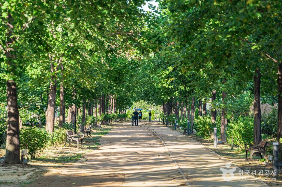 구리 가볼만한곳 베스트 10