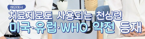 천심련
