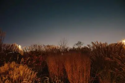서울식물원 최초 야간 개장 보름밤의 정원 가든파티 in SEOUL 행사 소개 참여 신청 관람 방법 과학 유튜버 궤도 공연
