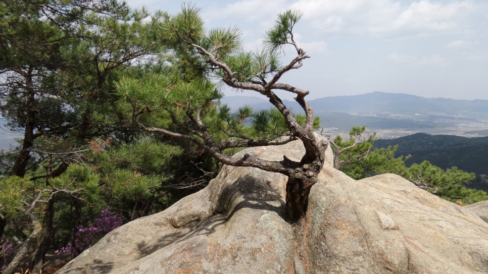 100대 명산 등산하기 스물아홉번째 경주 남산 1000년 유적의 고향 신라의 땅 우리나라에서 2번째 국립공원으로 지정된 경주 남산