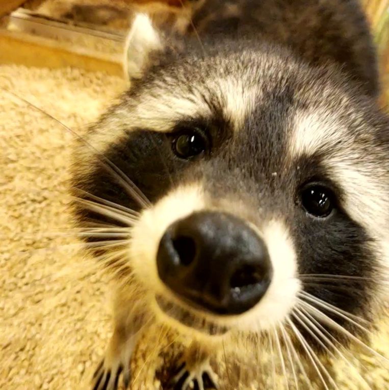 쥬라리움 청라점